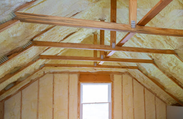 Best Insulation Maintenance and Repair in Riverside, OH
